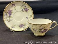 Teacup and saucer set front view showing design and coloration