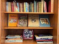 Books on two shelves showing vintage clothbound spines and front covers of Tooley Twirl Adventures, Another Brown Book, Hiram and Other Cats, Killing All Puppies, dog book