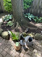 Group view of watering can, pots, twine, candle stakes around tree