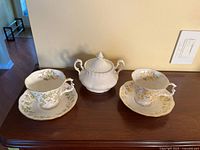 Full set showing two teacup/saucer pairs and lidded sugar bowl