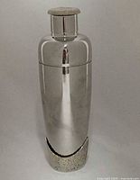 front view standing upright