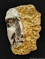 Front view showing full design and two-tone finish