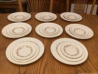 All 24 plates in three stacks by size