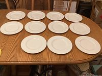 All 11 dinner plates displayed on table