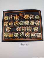 Front view of display board showing all 25 enamel pins