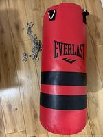 Full view of red Everlast punching bag with black stripes