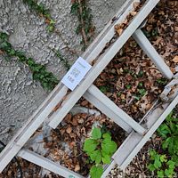 Close view of ladder rail and rungs with auction tag