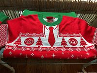 Sweater front detail showing graphic design