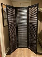 Full view of three-panel room divider standing open
