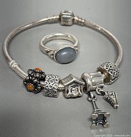 Bracelet and ring overall view