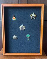 Front view showing all five badges in wooden shadow box
