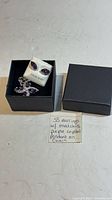 Necklace and earrings set inside black presentation boxes