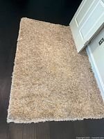 Full view of the rug showing natural beige shag pile