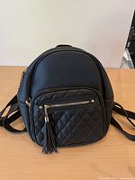 Front view showing quilted pocket, tassel, main structure