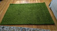Full view of grass-green shag rug on hardwood floor