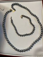 Full view of necklace and bracelet laid flat inside box