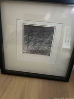 Square black wood frame with matted print of grasses