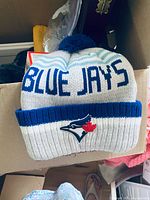 Blue Jays knit beanie front view
