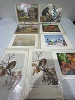 Group shot of nine art prints in sleeves laid out on table