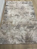 Full view of rectangular rug on floor