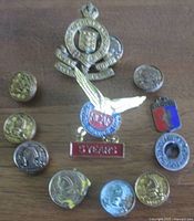Group image showing all badges, buttons and pin arranged together