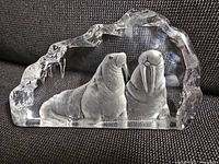 Front view of clear crystal sculpture with two walruses
