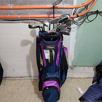 Full view of Titleist stand bag with clubs inserted