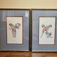 Both framed prints side by side