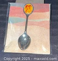 Full view of spoon sealed in plastic sleeve on display card