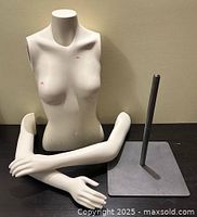 Torso front, detached arms, stand components