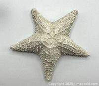 Front view of stone resin starfish
