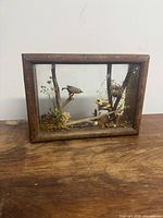Front view of entire diorama in wood frame
