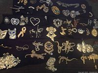 All brooches laid out on fabric showing variety