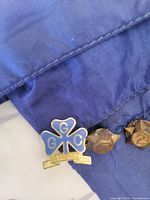 Close-up of blue enamel Girl Guides trefoil pin on scarf