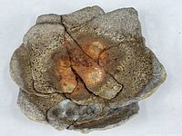 Top view of bowl showing overlapping clay pieces and raku glaze pattern