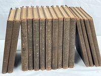 Spine view of all 15 brown cloth volumes standing upright