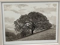 Close view of etching showing oak tree on hillside