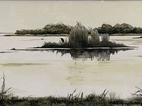 Close view of marsh scene showing heron and surrounding water