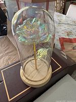 Overall view of rose light under glass dome on wood base