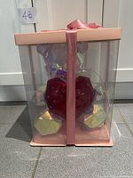 Bear in clear gift box with pink ribbon