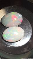 Top view of both opal cabochons in tray showing body tone and colour play