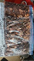 Two large zipper bags filled with pennies