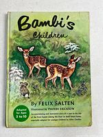 Front cover showing title, artwork and author