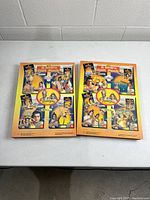 Two shrink-wrapped Ramayan 8-DVD gift packs, front view