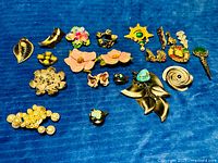 Full group of brooches laid out