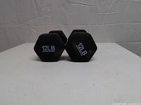 Front view showing both dumbbells upright with 12 LB markings