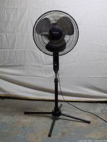 Full view of black 16-inch pedestal fan showing height and base