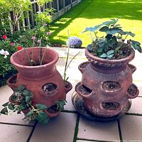 Two large terracotta strawberry jars on patio showing overall form and side pockets