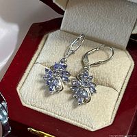 Earrings in open box showing front detail