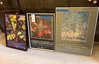 All three framed posters standing side by side